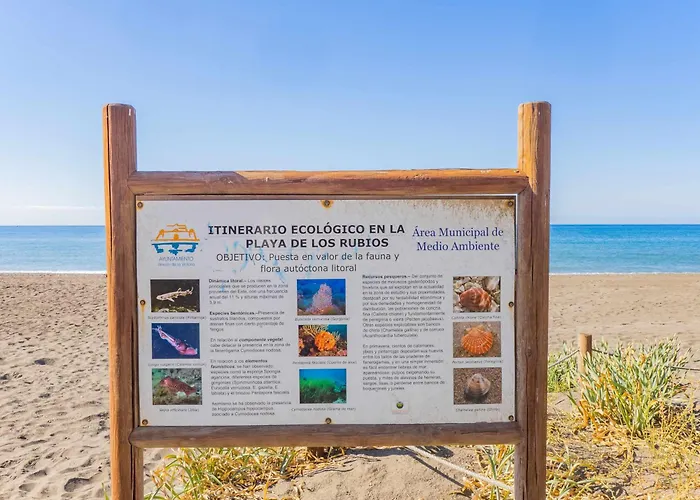 Nuevo Con Piscina Y Parking En La Playa